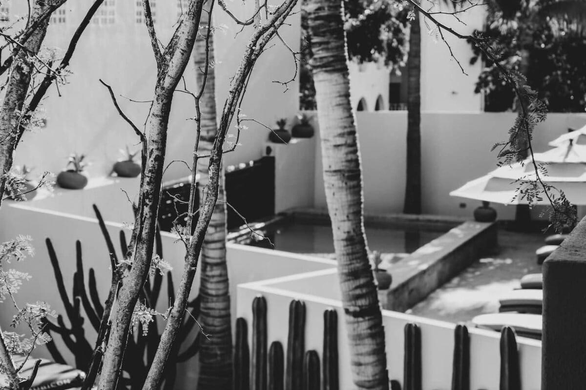 4 Splendid Twin Suite Rooms In Exclusive Boutique Hotel San José del Cabo Εξωτερικό φωτογραφία