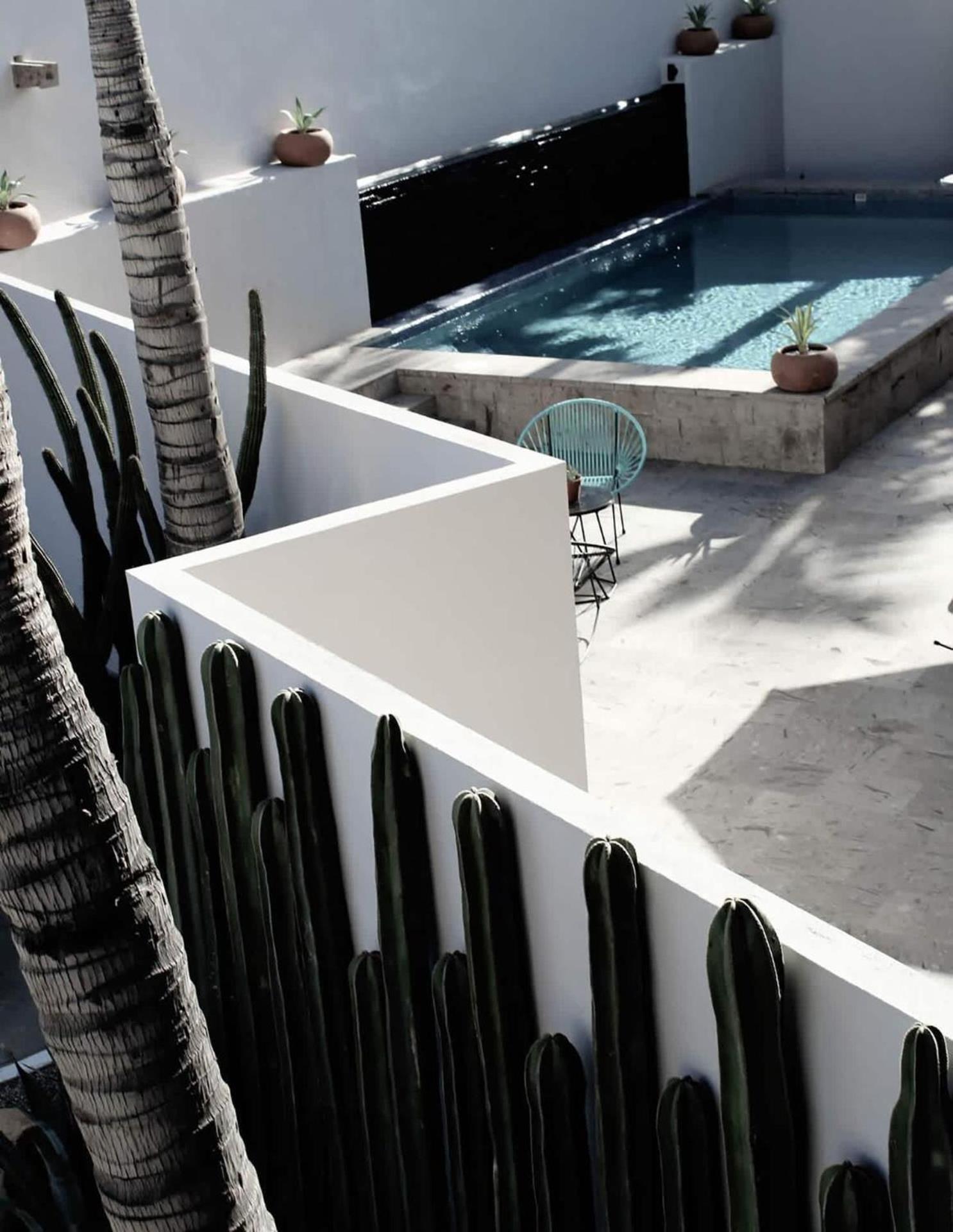4 Splendid Twin Suite Rooms In Exclusive Boutique Hotel San José del Cabo Εξωτερικό φωτογραφία